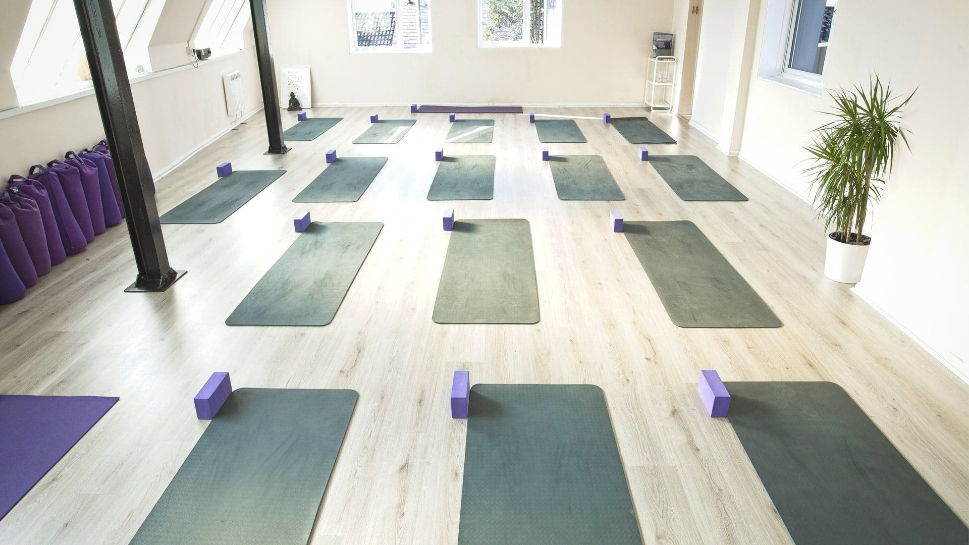 empty yoga studio in brighton with green green mats